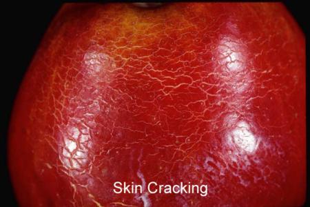 Skin cracking